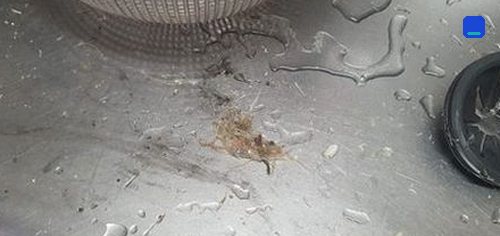 동대문구 · 상담 후 방문 작업 고객 글 사진